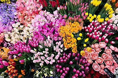 《塞尔达传说：王国之泪》故事梗概和加侬多夫设定公布