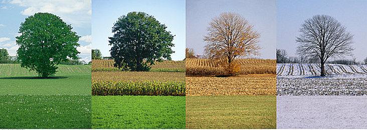 灵感来自唐朝和吐蕃文化 叙事解谜游戏《归梦》上线Steam