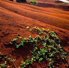 10 Chambers发布《Den of Wolves》幕后纪录片 ，庆祝工作室成立十周年